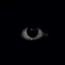 ifrit0666