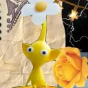 bonki__uwu