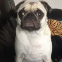 avavavavavavavavav