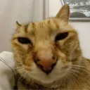 tonyunderscore