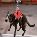 northernnuggster