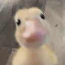 elxrs