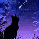 avatar 𝐂𝐡𝐚𝐫𝐥𝐞𝐲