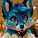 foxn