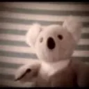 lumpykoalabear