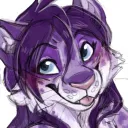 quyetpawz