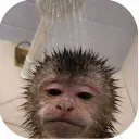 jari_lms
