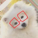 arosenbomb