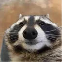 Maggi64's Avatar