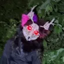 arachn01d
