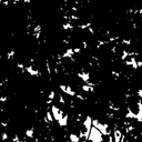 puzzlebones