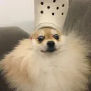 inetsu