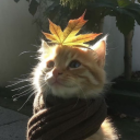 Discord Avatar