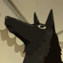 .leyuri