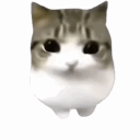 yaldabotit