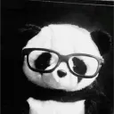 panda.999