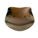 .toolo