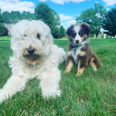 wardo42#5879's avatar