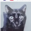 aimelemehdi