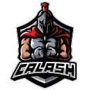 lgdmicalash