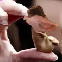 rqphoenix