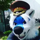 _zorbas_