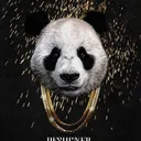 donpanda2634