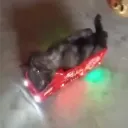 corrrpa