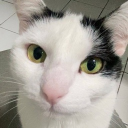 milordus#8707's avatar