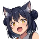 h.d.p