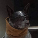 ttr2101#4853's avatar