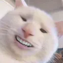 leskda