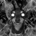 avatar Carvalho.Luan