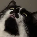 eyedbysenpai