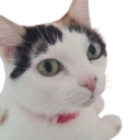 avatar aubrey