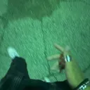 nexusdv