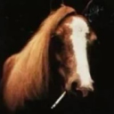 horsetrash