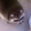 pijamkin