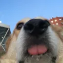 williamyulin