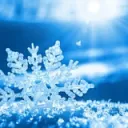 frozenlight195
