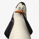 rroojrooj