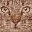 aluko