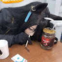 avatar 𓆩♡𓆪 🎧 Evelyn🎧 𓆩♡𓆪