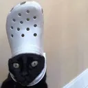 indiebubbles