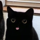 metruu1337#3093's avatar