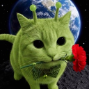 avatar fafa