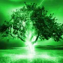 greenstorm_tv
