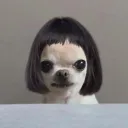 vvex_veew