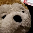 g0.jp