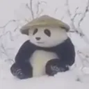 nickkoepr